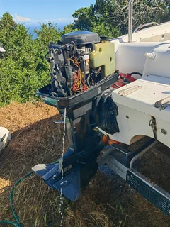 60hp mercury Bigfoot outboard