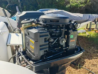 60hp mercury Bigfoot outboard