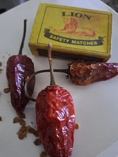 Seeds - Ad posted by Bruce