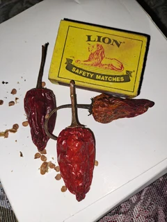 Seeds - Ad posted by Bruce