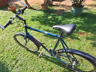 Vintage Giant Sierra