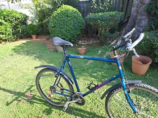 Vintage Sierra Giant Mountain Bicycle