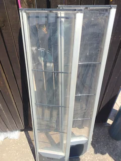 Electronic Asset Surveillance system