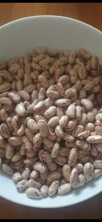 Sugar Beans A Grade Red Speckled Sugar Beans