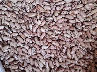 Sugar Beans Red Speckled Sugar Beans A Grade