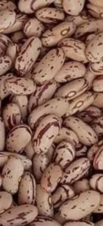 Red Speckled Sugar Beans