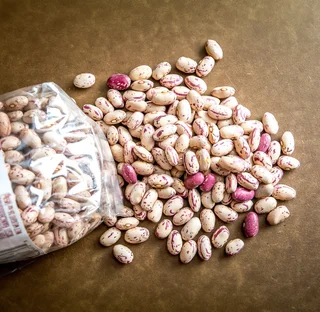 Red Speckled Sugar Beans