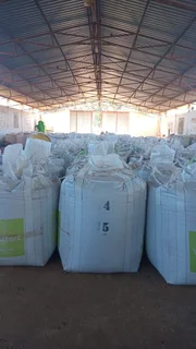 Red Speckled Sugar Beans Black Friday November Specials