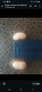 Red Speckled Sugar Beans Black Friday November Specials