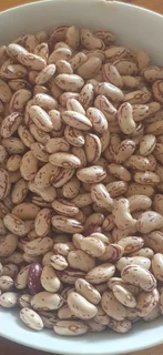 Red Speckled Sugar Beans Black Friday November Specials