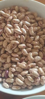 Red Speckled Sugar Beans Black Friday November Specials