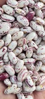 Red Speckled Sugar Beans Black Friday November Specials