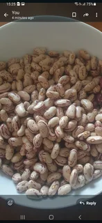 Red Speckled Sugar Beans Black Friday November Specials