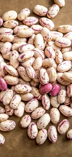 Red Speckled Sugar Beans Black Friday November Specials