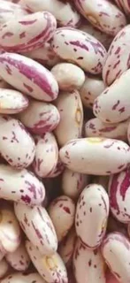 MRS BEAN&#39;S Beans