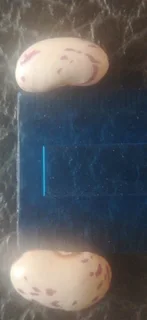 MRS BEAN&#39;S Beans