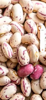 MRS BEAN&#39;S Beans