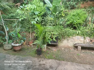 3 Bedroom 1 parking House to rent - Off Ridge Road, Musgrave