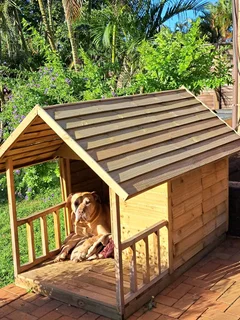 Dog Kennels / Catios