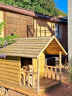 Dog Kennels / Catios