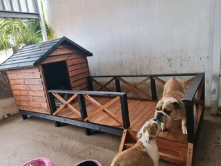 Dog Kennels / Catios