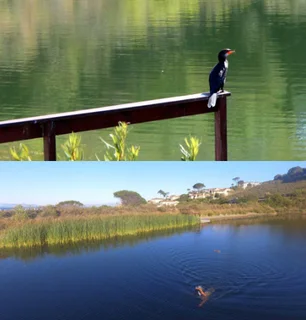 BOSKLOOF ECO ESTATE - Exclusive fully furnished 2 bedroom apartment to rent