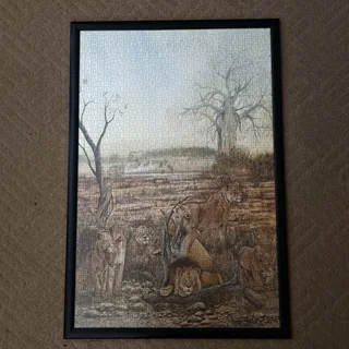 Puzzle Of Lions Den In Glass Frame