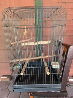 Bird cage