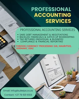 Professional Accounting Services- free consultation
