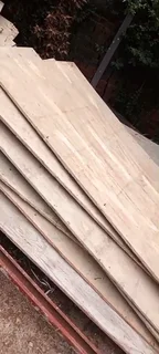 Shutter boards rental