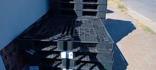 1x1m plastic pallets for sale still in good condition
