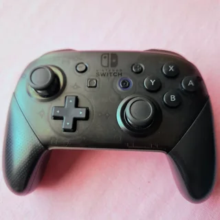 Nintendo Switch Animal Crossing Edition &#43; Pro Controller – Excellent Condition