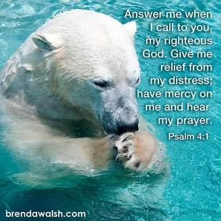 Services - Ad posted by Pierre Chauvet