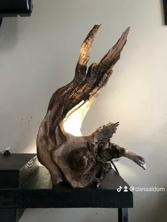 Custom Made Designer Driftwood Furniture and Root System Tables System Tables