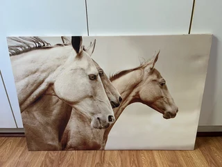 Horse Print Canvas