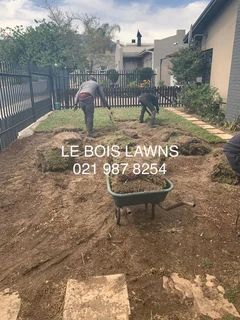 Roll on lawn straight from our farm. Kikuyu, buffalo, lm berea, cynodan.