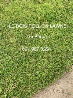 Roll on lawn straight from our farm. Kikuyu, buffalo, lm berea, cynodan.