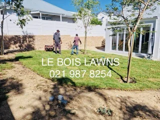 Roll on lawn straight from our farm. Kikuyu, buffalo, lm berea, cynodan.