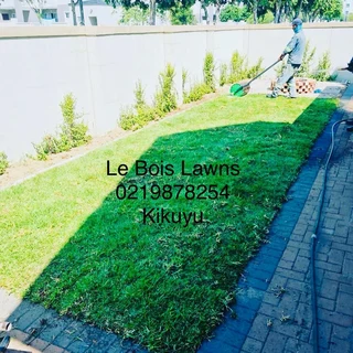 Roll on lawn straight from our farm. Kikuyu, buffalo, lm berea, cynodan.