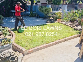 Roll on lawn straight from our farm. Kikuyu, buffalo, lm berea, cynodan.