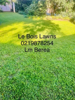 Roll on lawn straight from our farm. Kikuyu, buffalo, lm berea, cynodan.