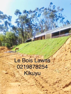 Roll on lawn straight from our farm. Kikuyu, buffalo, lm berea, cynodan.