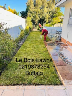 Roll on lawn straight from our farm. Kikuyu, buffalo, lm berea, cynodan.