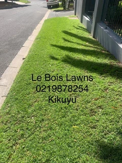Roll on lawn straight from our farm. Kikuyu, buffalo, lm berea, cynodan.