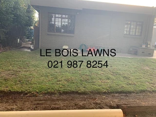 Roll on lawn straight from our farm. Kikuyu, buffalo, lm berea, cynodan.