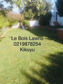Roll on lawn straight from our farm. Kikuyu, buffalo, lm berea, cynodan.