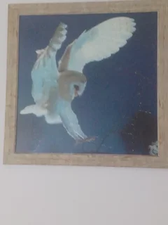 ♥️PRICEDROP♥️Framed puzzle