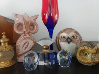 Owls and more owls