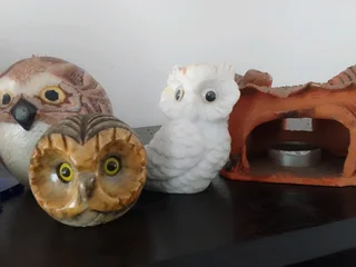 Owls and more owls
