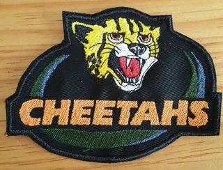 Embroidered cheetah fabric patches